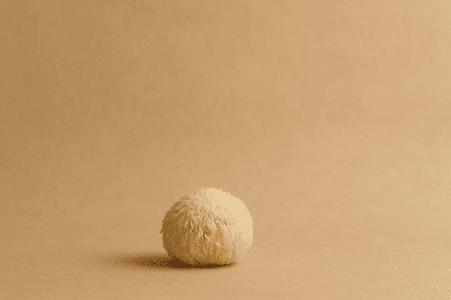 Fresh Lion's Mane Mushroom
